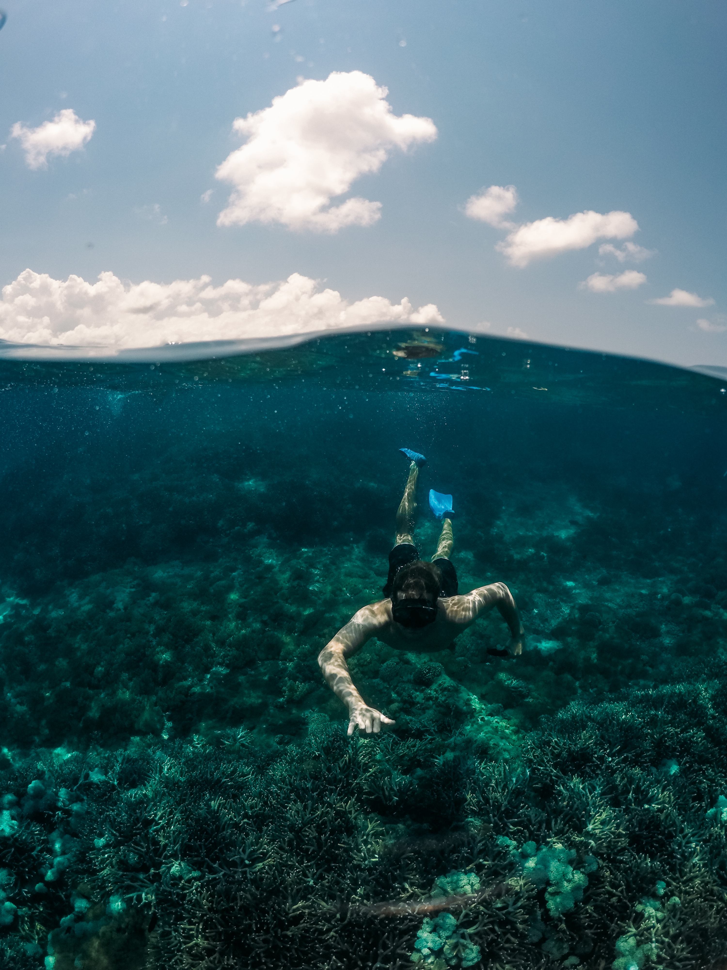 diving-in-cebu